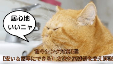 猫の飼い方を学べる本【おすすめ】５冊！ネット情報だけは「危険」な 