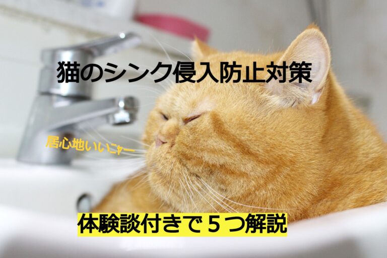 猫の体験談 猫と生き笑うためのブログ