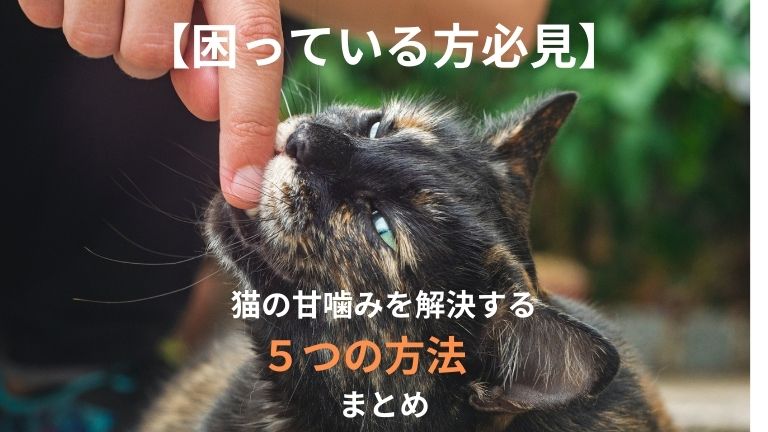 猫に甘噛みをやめさせる5つのstep しつけ よりも重要な環境作りとは 猫と生き笑うためのブログ