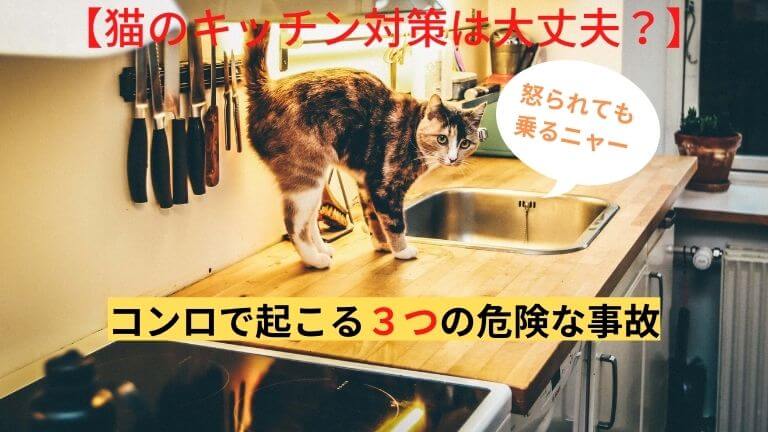 猫と生き笑う そんなブログ パート 3