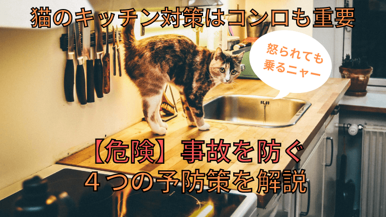 猫のキッチン対策はコンロも重要 危険 事故を防ぐ4つの予防策を解説 猫と生き笑うためのブログ