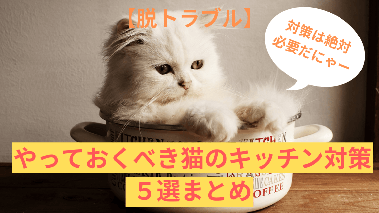 猫キッチン対策でお悩みの方へ ラクにできて効果的 な方法５選 体験談付 で解説 猫と生き笑うためのブログ
