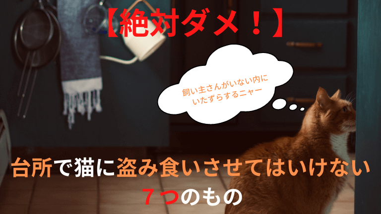 猫と生き笑う そんなブログ パート 3