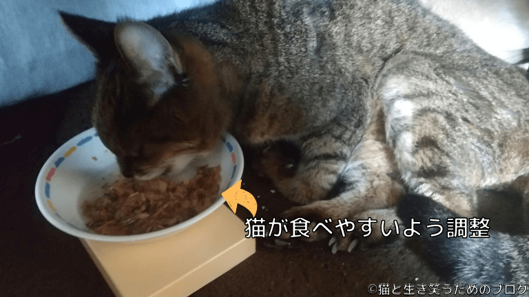 老猫食べやすい食器