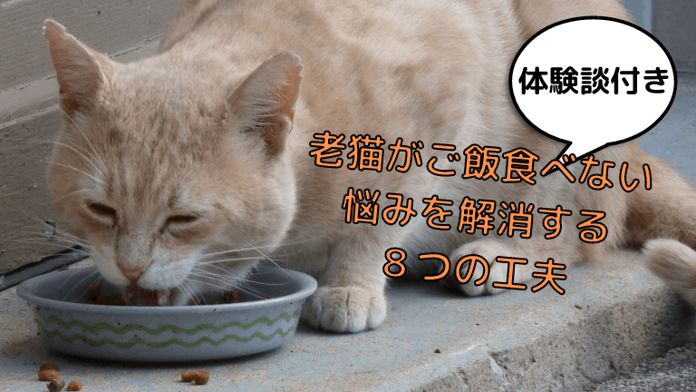 老猫がご飯食べないとき試したい工夫8選！長寿猫との体験談含め解説 猫と生き笑うためのブログ