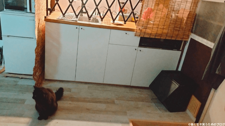 猫キッチン対策