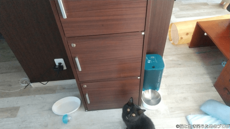 黒猫鍵付き戸棚