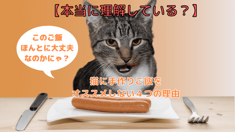 本当に理解している 猫に手作りご飯をオススメしない４つの理由 猫と生き笑うためのブログ