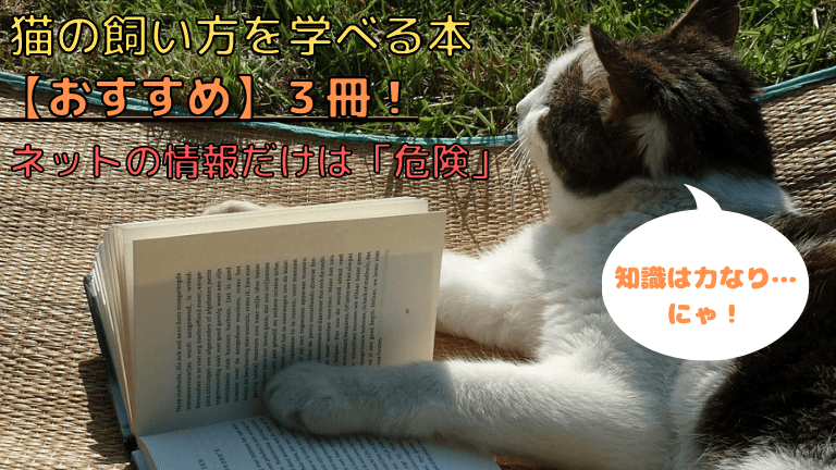 猫の飼い方を学べる本 おすすめ ３冊 ネットの情報だけは 危険 猫と生き笑うためのブログ