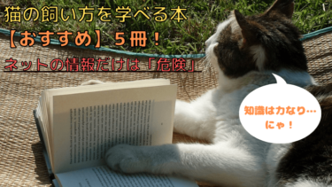 猫の飼い方を学べる本おすすめ５冊！ネット情報だけは危険な理由とは