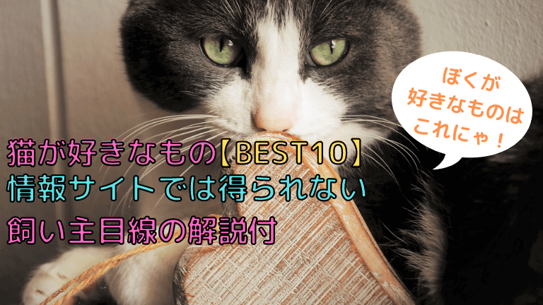 猫が好きなもの Best10 情報サイトでは得られない飼い主目線の解説付 猫と生き笑うためのブログ