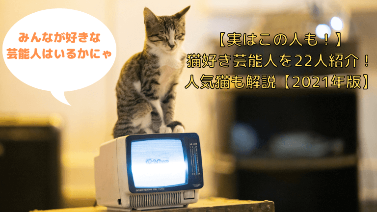 猫と生き笑うためのブログ 猫と生き笑うためのブログ