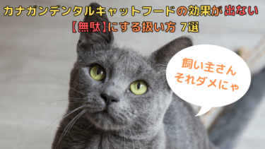 カナガンデンタルキャットフード【腎臓悪い猫には微妙】オススメは 