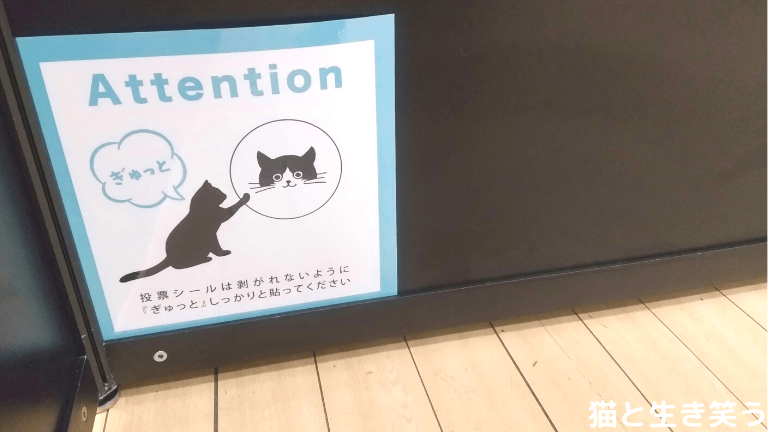 ねこにすと34