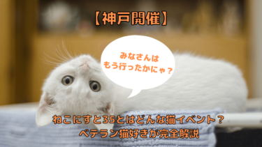 【神戸開催】ねこにすと35とはどんな猫イベント？ベテラン猫好きが完全解説