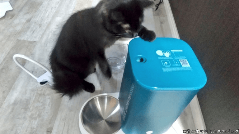 黒猫と自動給餌器