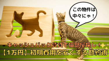 キャッシュバック賃貸で猫部屋探し！手堅く【1万円】初期費用を節約する方法