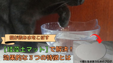 猫が飲み水をぶちまける悩み「珪藻土マット」で解決！効果的な３つの特徴とは
