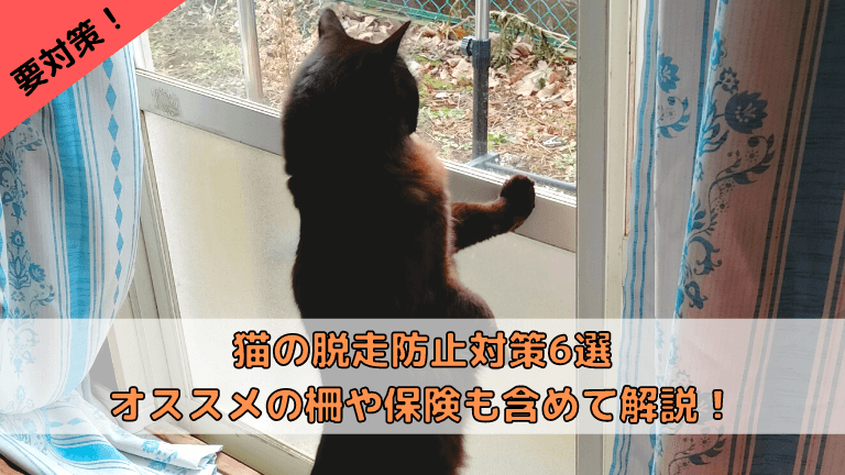 猫のイタズラ対策 猫と生き笑うためのブログ