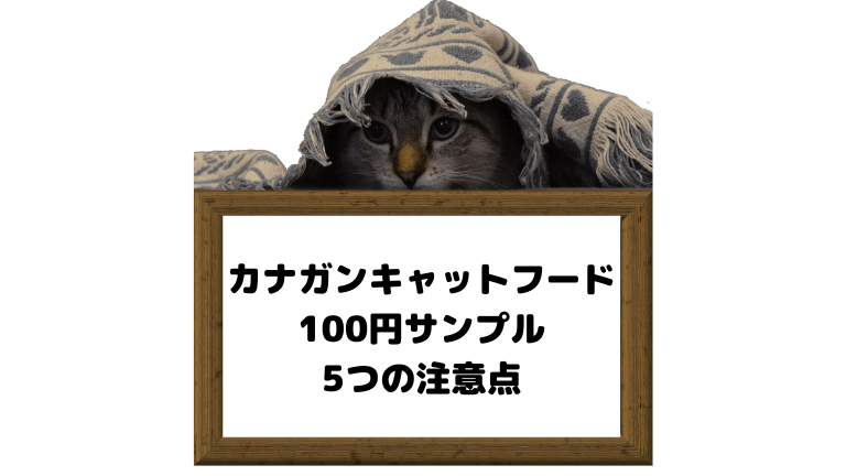 カナガンキャットフードお試し100円サンプル申込方法と注意点を解説！ | 猫と生き笑うためのブログ
