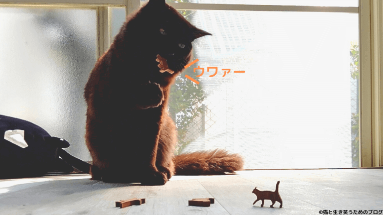 黒猫と猫積み木キャットパイル