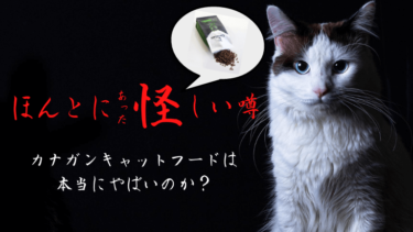 キャットフード「カナガン」が怪しい猫ご飯と噂される理由を徹底解説！