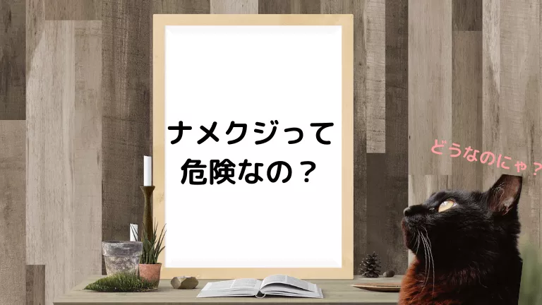 猫ナメクジ
