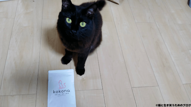 黒猫と猫用サプリメントkokona