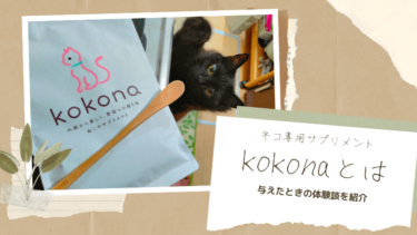 猫サプリメントkokona（ココナ）とは｜実際に与えたときの体験談を紹介