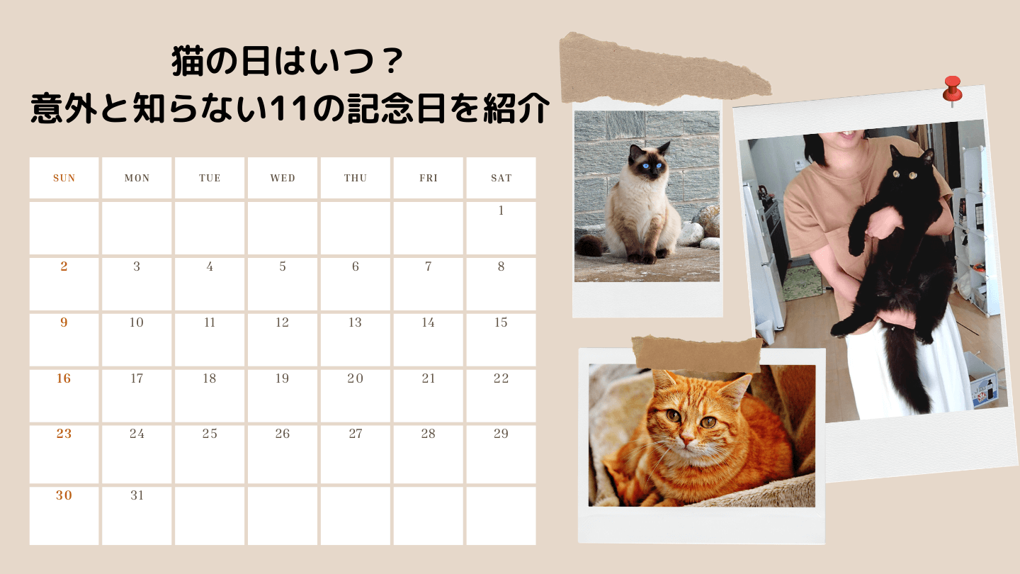 猫とカレンダー