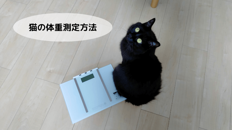 猫体重測定