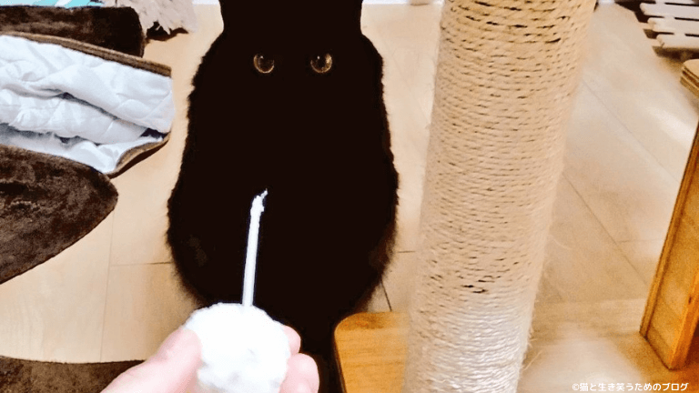 黒猫毛玉ボール