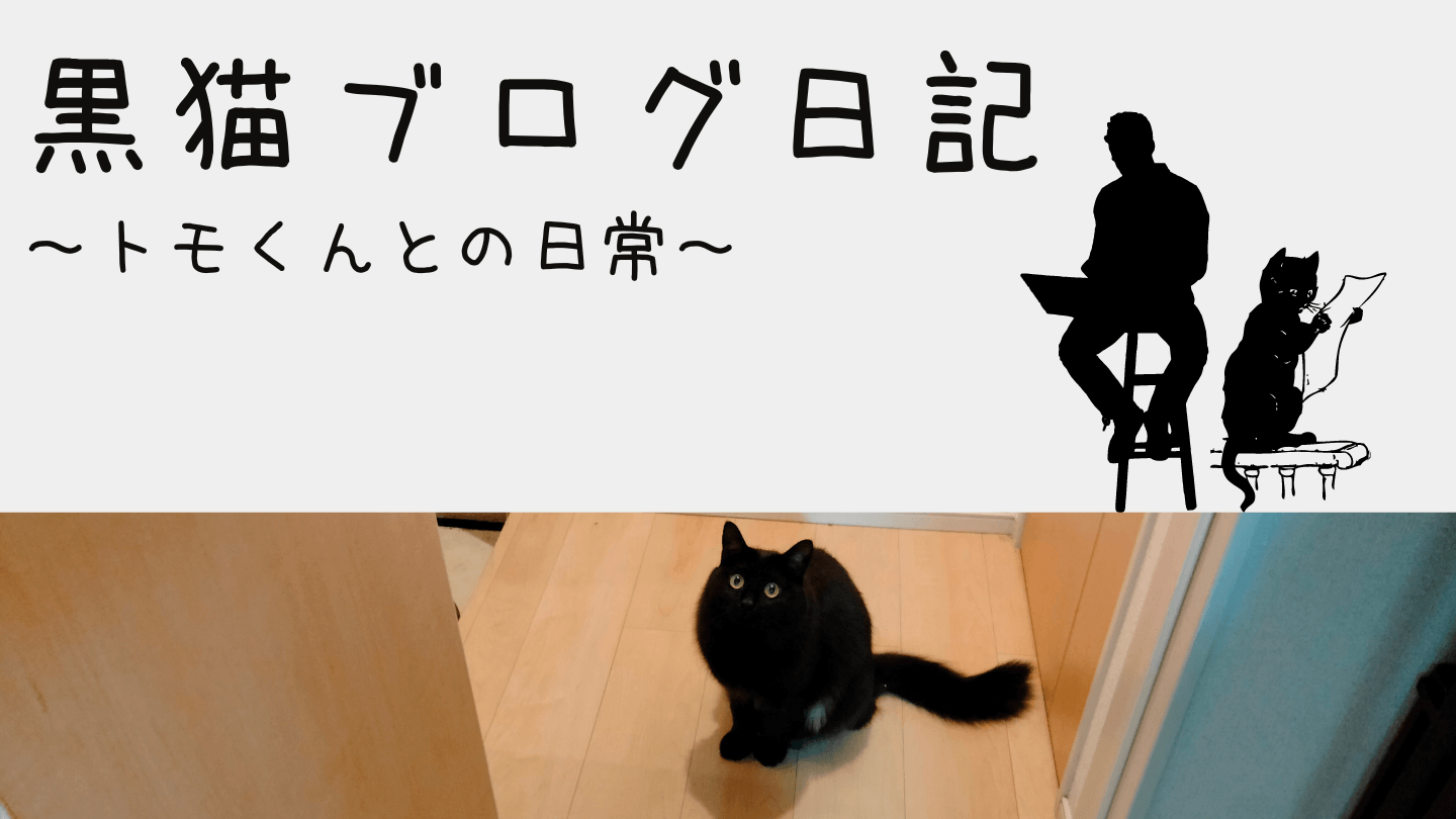 黒猫ブログ日記