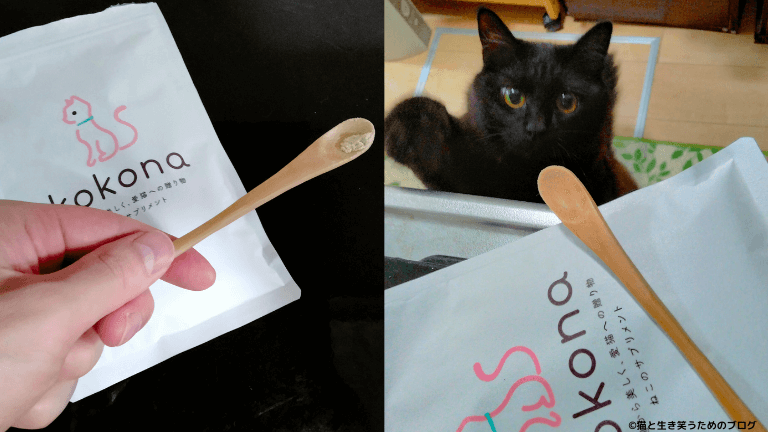 黒猫と猫用サプリメントkokona