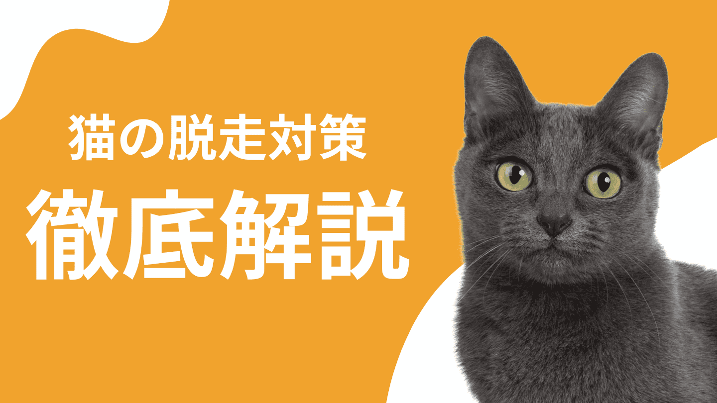 猫脱走防止対策