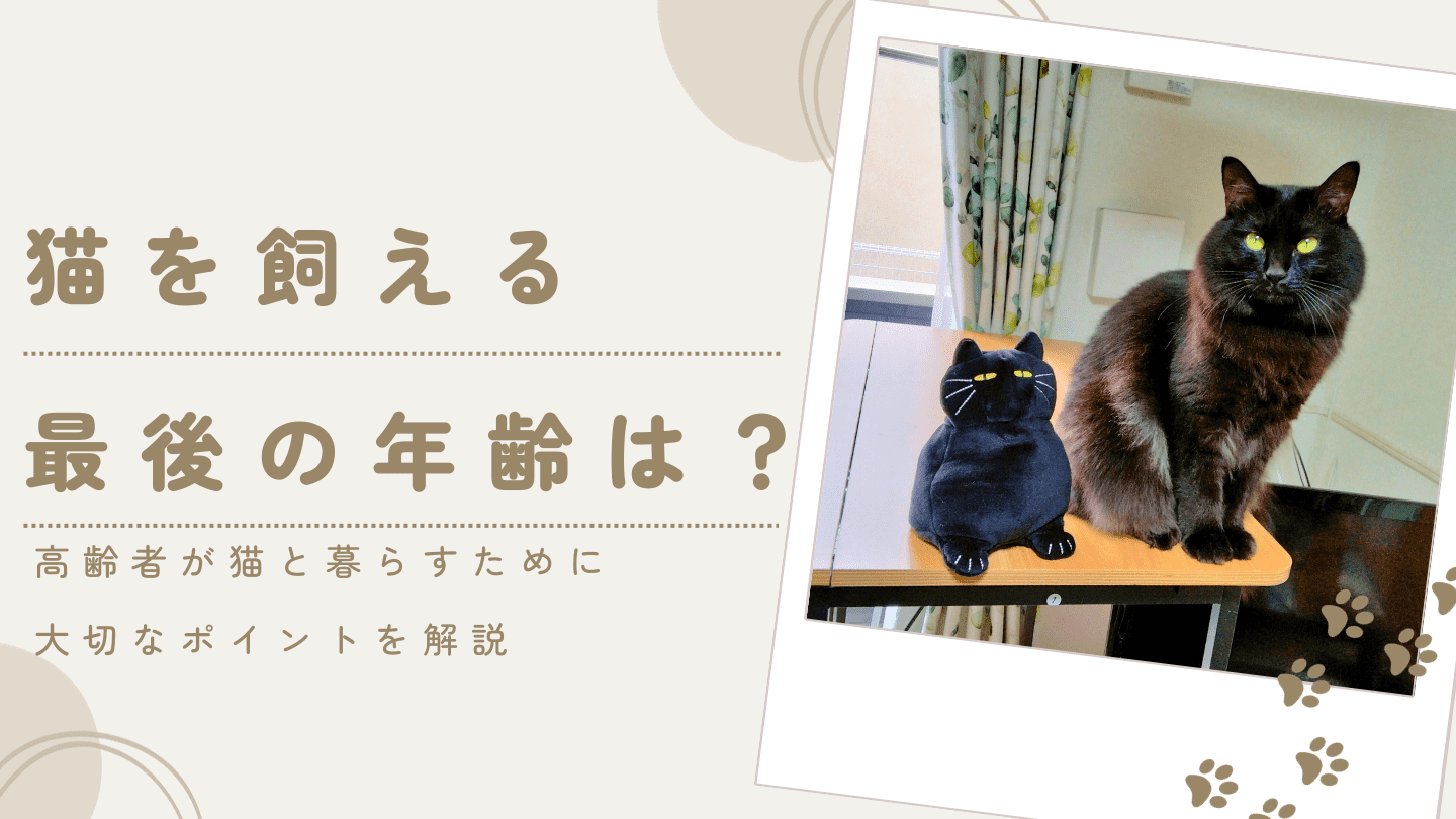 猫を飼うことができる最後の年齢は?高齢者でも猫と暮らすために大切なことを解説 | 猫と生き笑うためのブログ