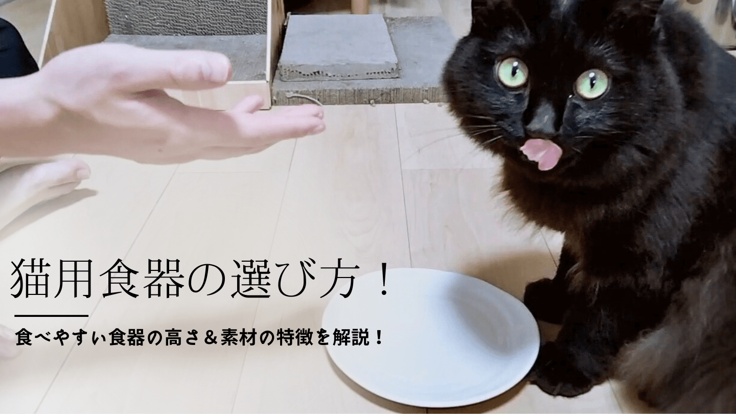 猫用食器