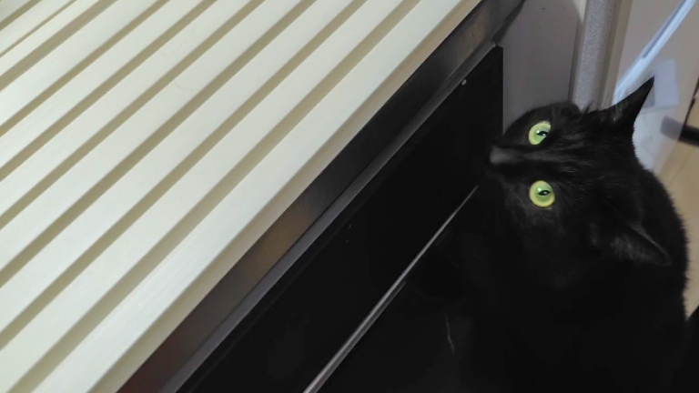 シンクカバー 猫