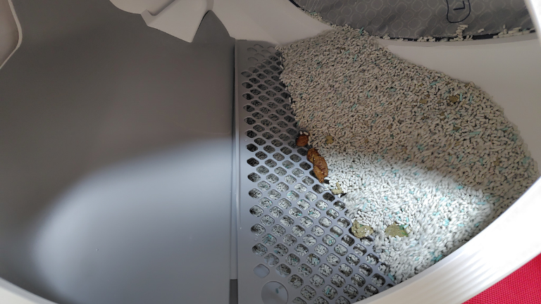 猫の自動トイレと糞尿