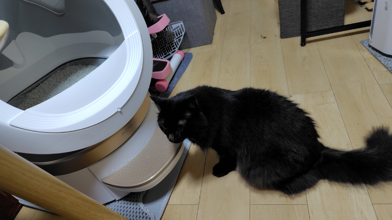 猫 自動トイレ