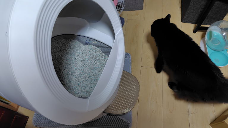 猫 自動トイレ