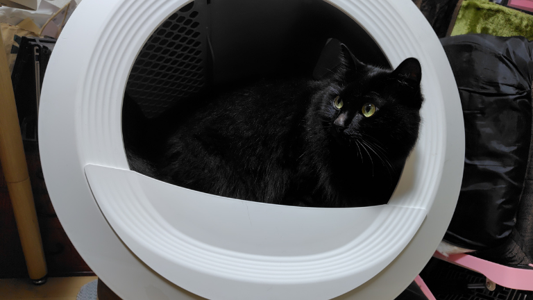 猫 自動トイレ