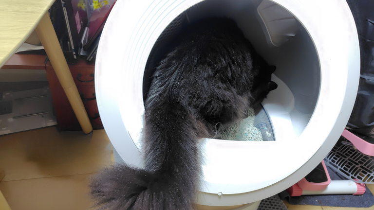 猫 自動トイレ