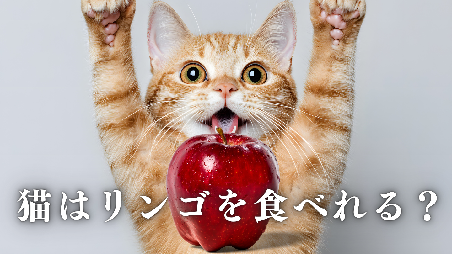 猫 リンゴ