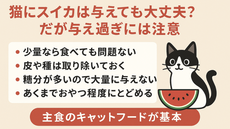 猫 スイカ